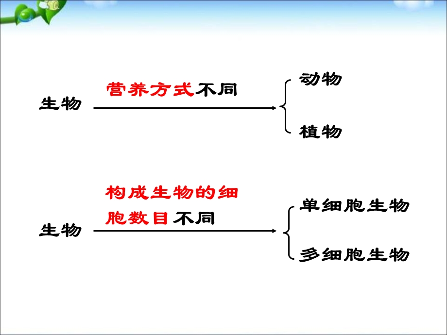 物种的多样性ppt课件.pptx_第3页