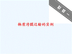 物质跨膜运输实例ppt课件.ppt