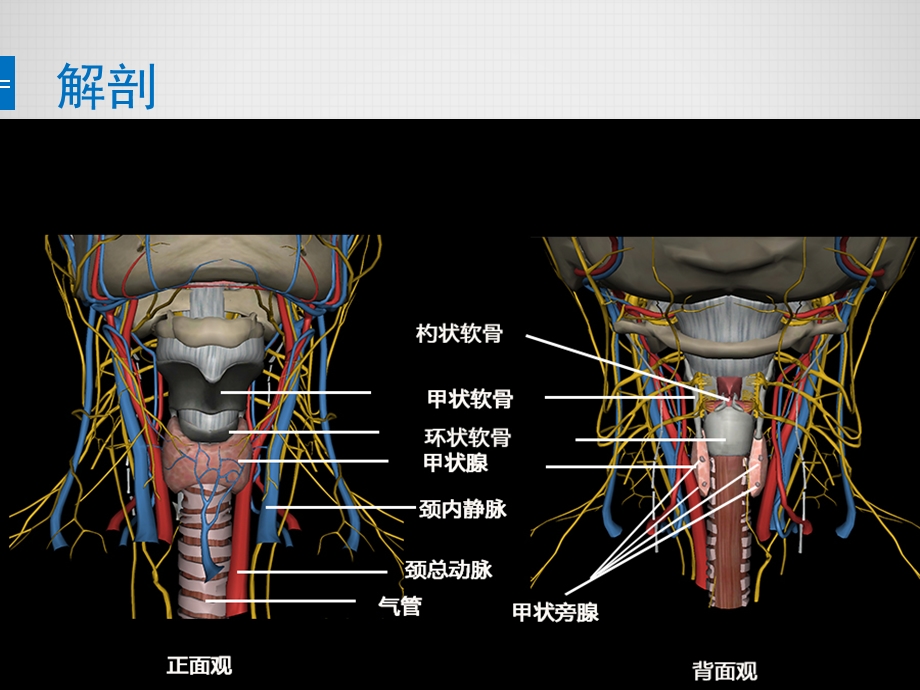 甲状腺手术配合ppt课件.pptx_第3页