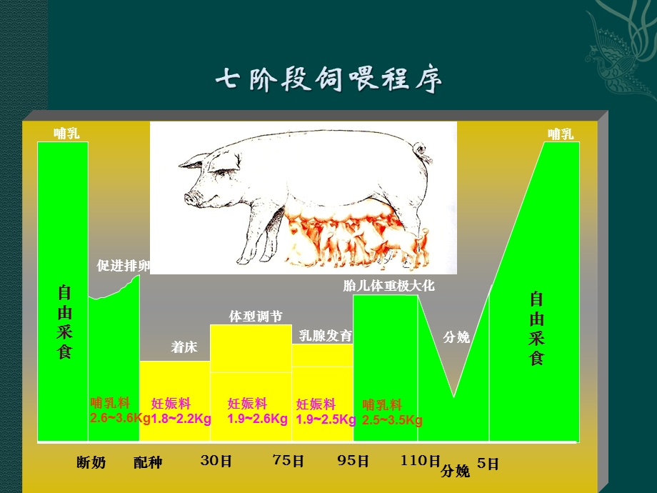 母猪科学七阶段饲喂管理ppt课件.ppt_第3页