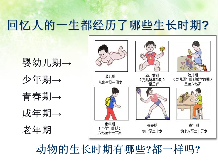 浙教版科学 七年级下册第一章 第3节 动物的生长时期ppt课件.ppt_第1页