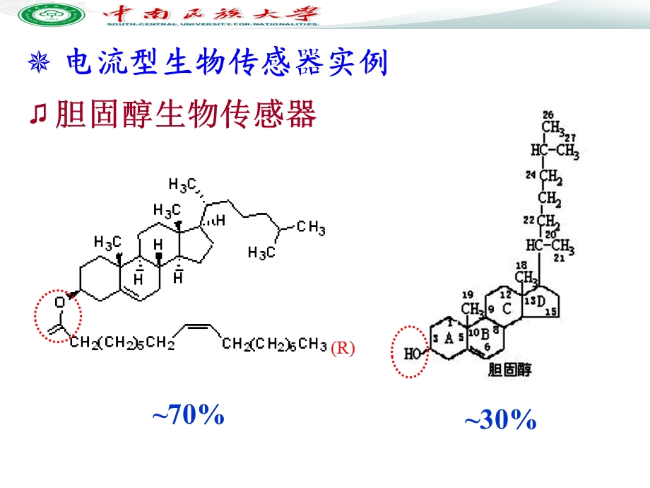 电化学传感器和生物传感器ppt课件.ppt_第2页