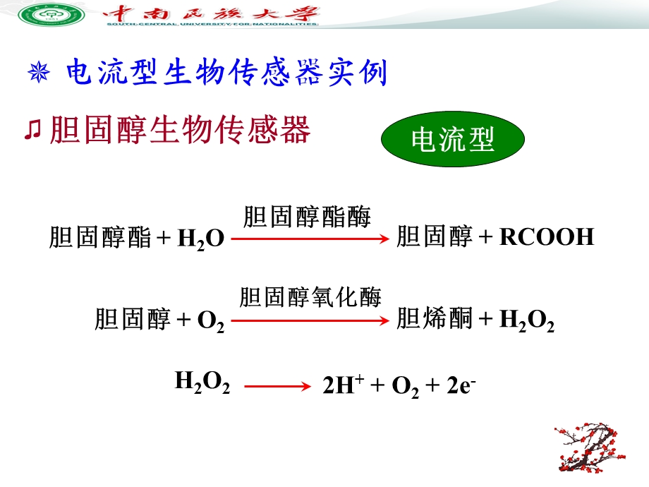 电化学传感器和生物传感器ppt课件.ppt_第3页