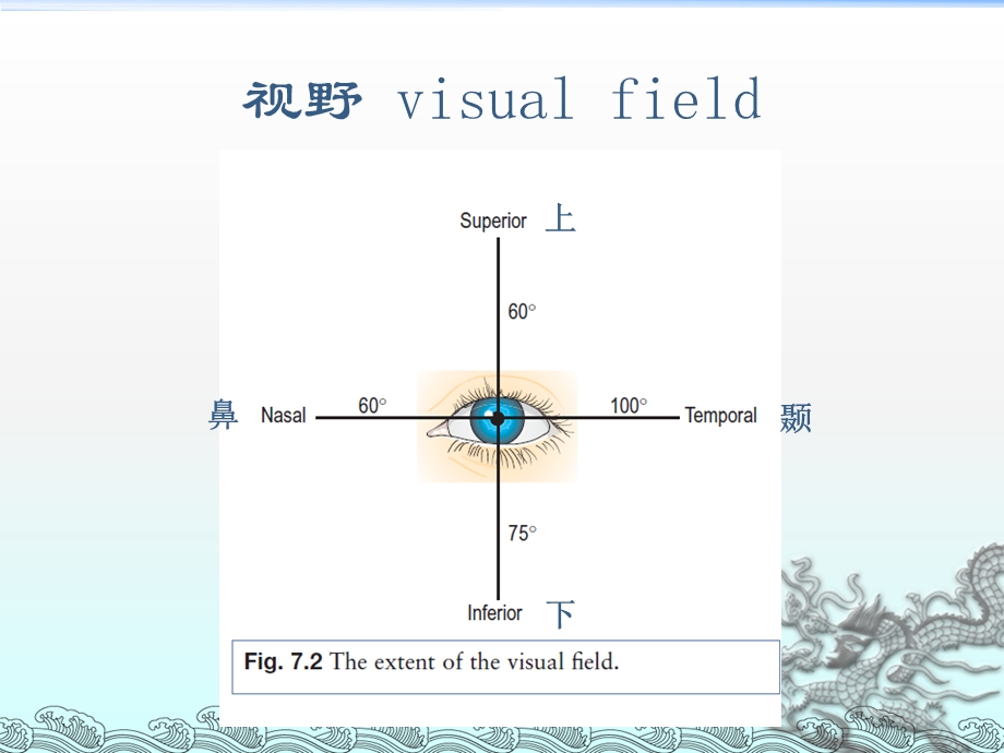 眼视野检查ppt课件.ppt_第2页