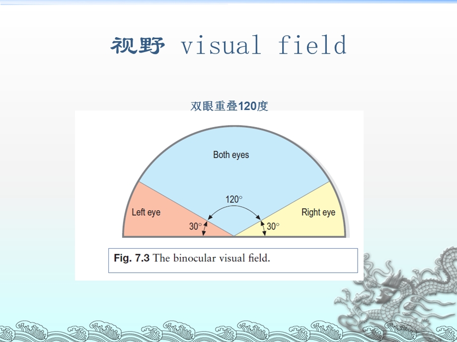 眼视野检查ppt课件.ppt_第3页