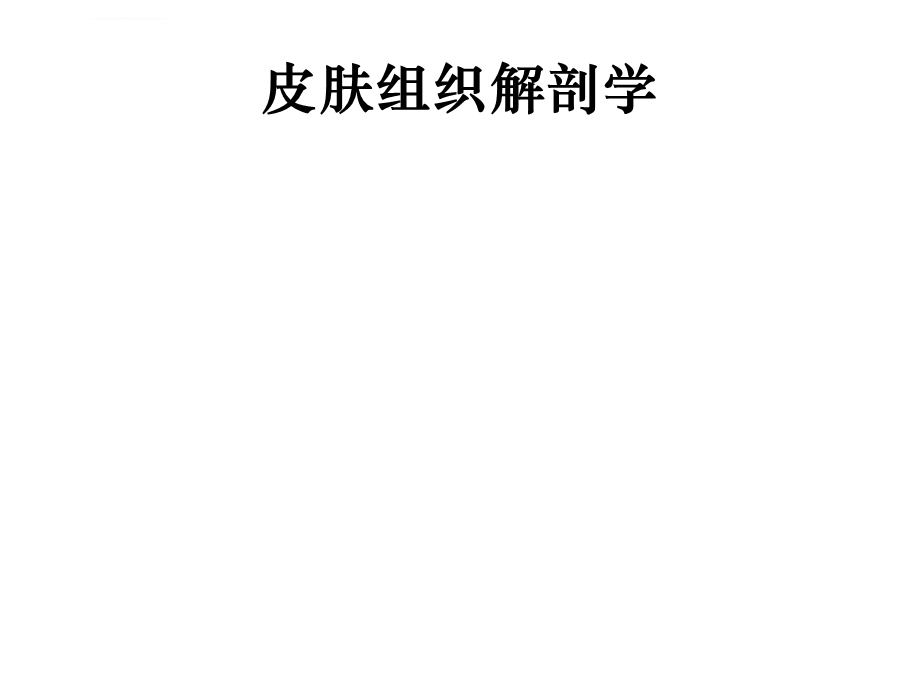 皮肤组织解剖学ppt课件.ppt_第1页