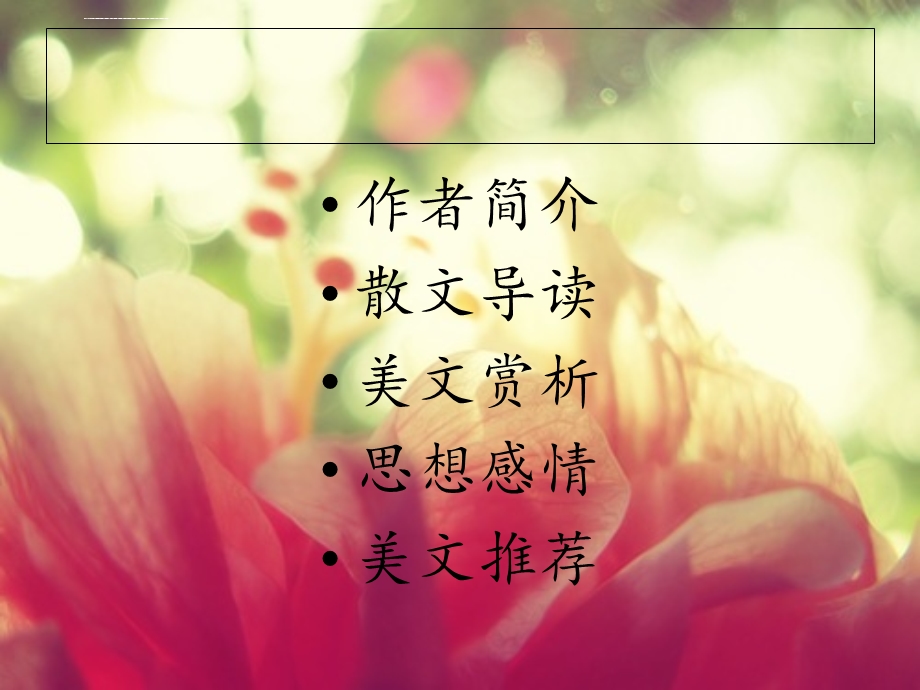 白色山茶花ppt课件.ppt_第2页