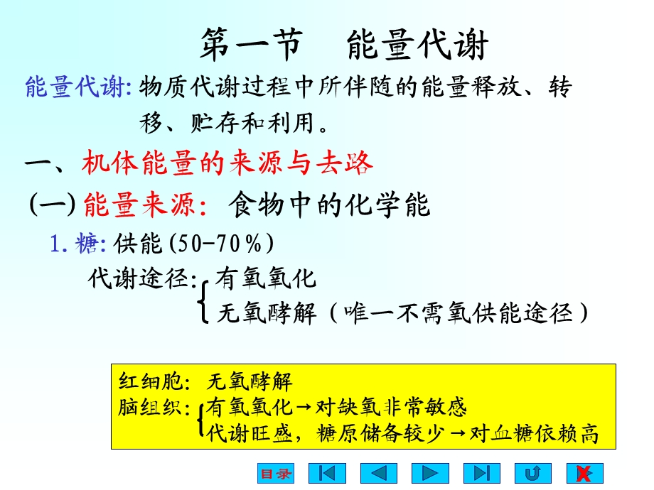 生理学第七章能量代谢与体温精ppt课件.ppt_第2页