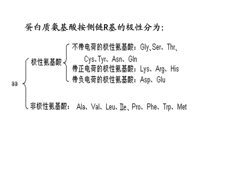 生物化学知识点总结ppt课件.ppt_第3页