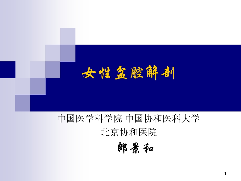 盆腔解剖终末版ppt课件.ppt_第1页