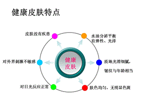 皮肤分类及保养PPT课件.ppt