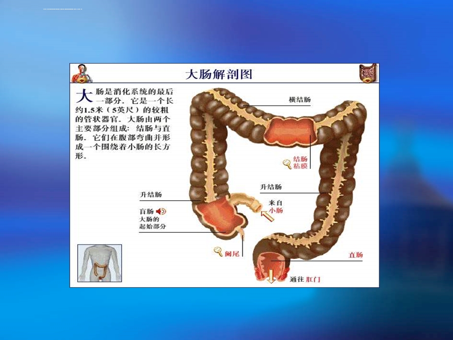 直肠癌的护理ppt课件.ppt_第2页