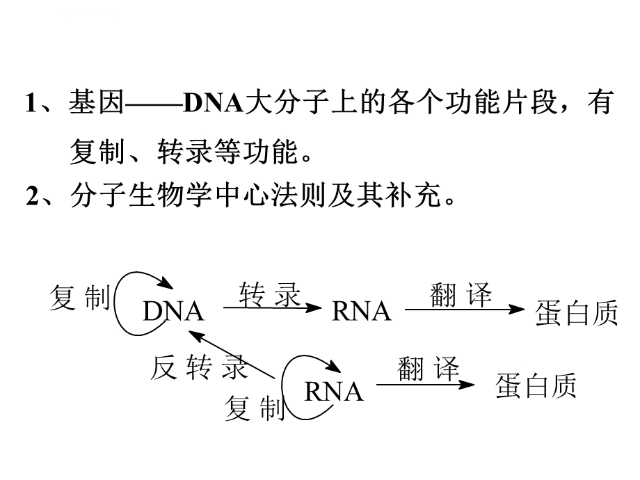 生物化学第十一章核酸的生物合成ppt课件.ppt_第2页