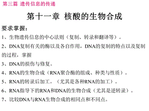 生物化学第十一章核酸的生物合成ppt课件.ppt