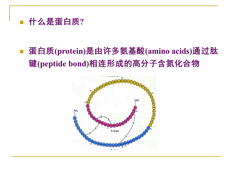 生物化学蛋白质的结构与功能ppt课件.ppt_第2页