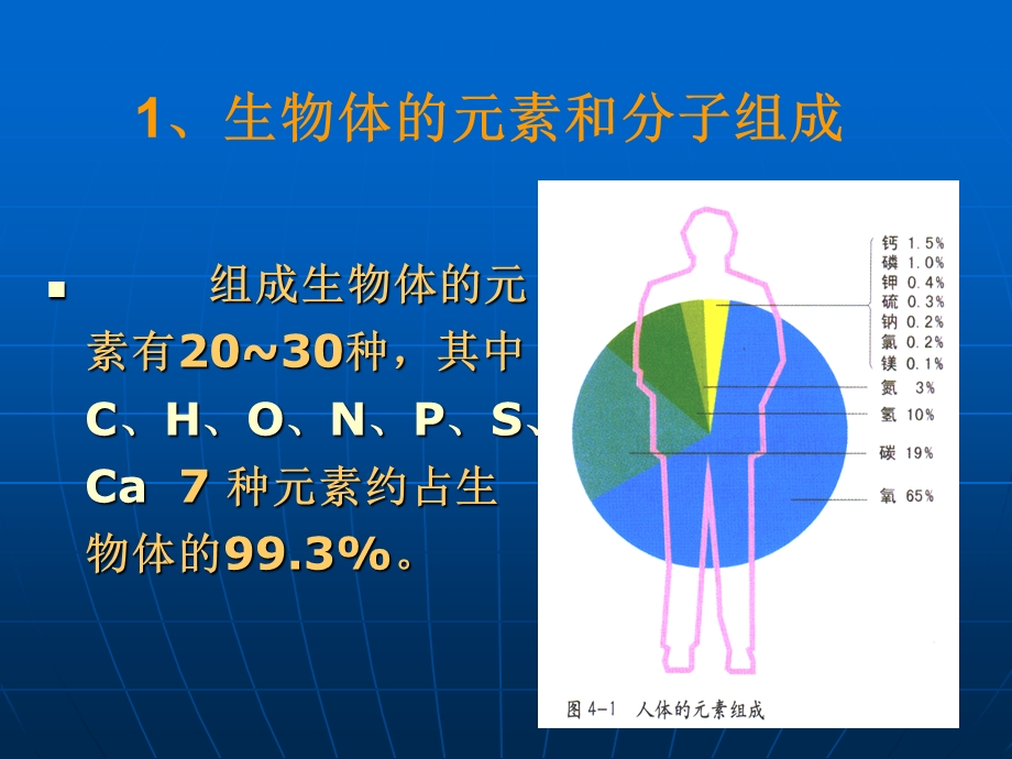 生物化学基础PPT课件.ppt_第3页