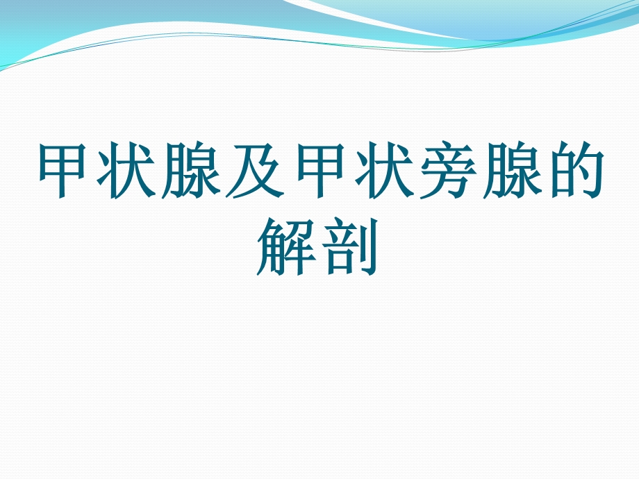 甲状腺及甲状旁腺解剖ppt课件.pptx_第1页