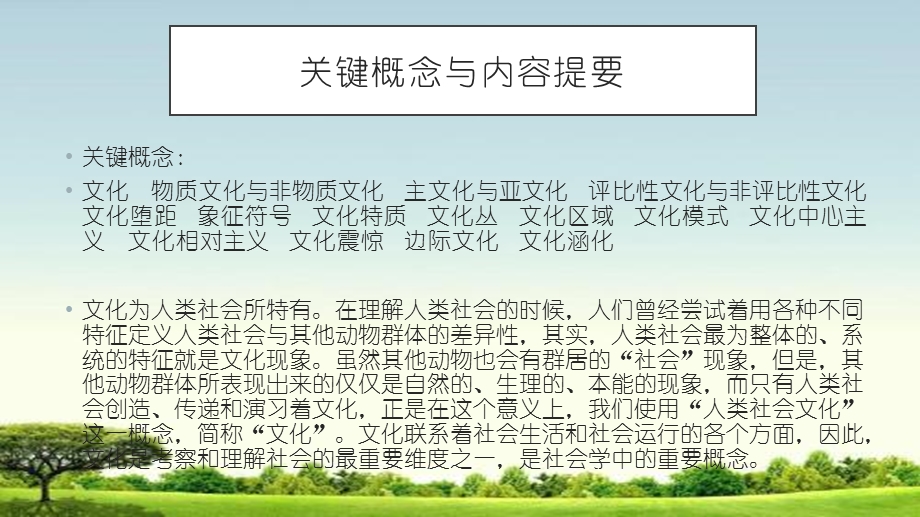 社会运行与社会文化ppt课件.pptx_第3页