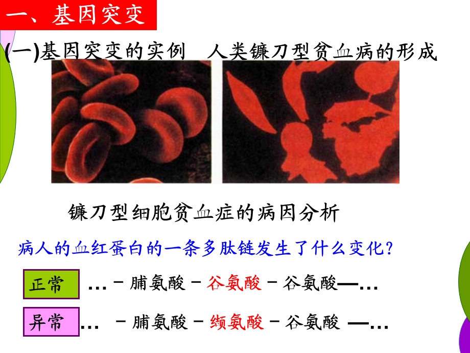 生物学②必修5.1《基因突变和基因重组》PPT课件.ppt_第3页