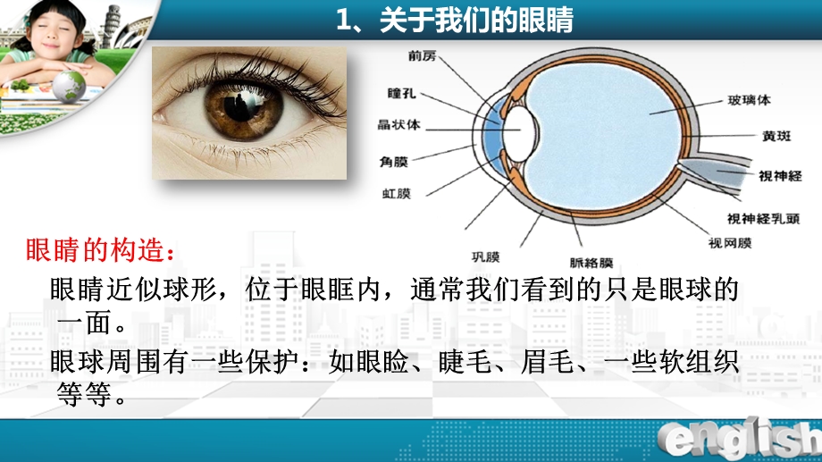 爱眼护眼知识讲座ppt课件.pptx_第3页