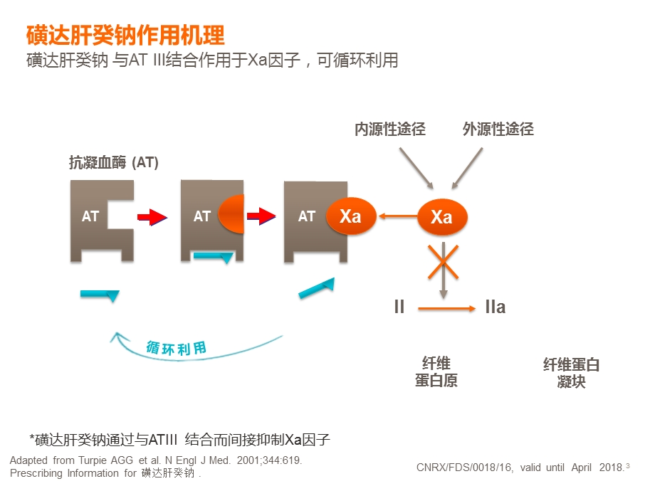 磺达肝癸钠在骨科手术VTE预防的循证依据ppt课件.pptx_第3页