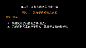 氯离子的检验及卤素ppt课件.ppt