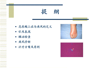 痛风教学查房ppt课件.ppt