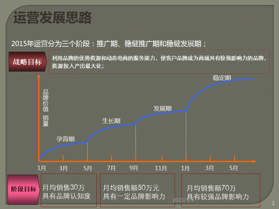 电商代运营策划整体推广方案ppt课件.pptx_第3页