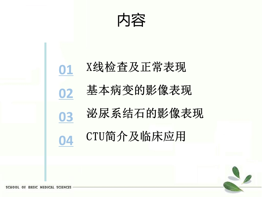 泌尿系统影像诊断ppt课件.ppt_第3页