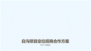 白沟项目商业策划招商合作方案ppt课件.pptx