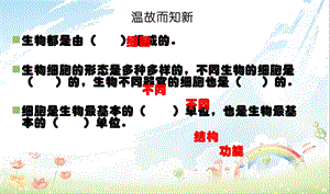 用显微镜观察身边的生命世界（三）PPT课件.ppt