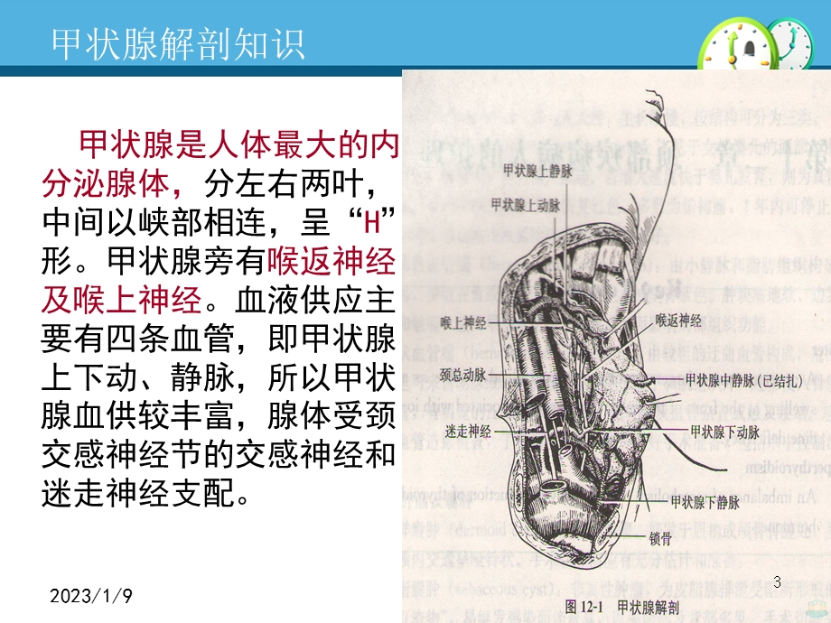 甲状腺癌术前术后护理PPT课件.pptx_第3页