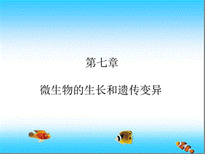 水处理生物学第七章1讲解ppt课件.ppt