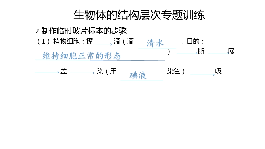 生物体的结构层次专题训练ppt课件.pptx_第2页