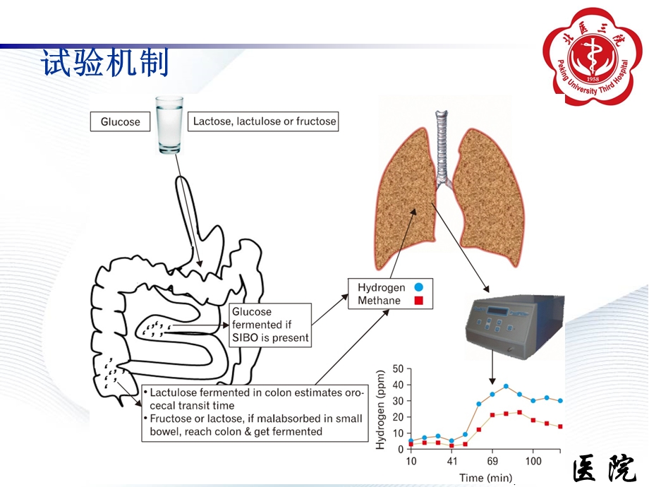 甲烷氢呼气试验ppt课件.ppt_第3页