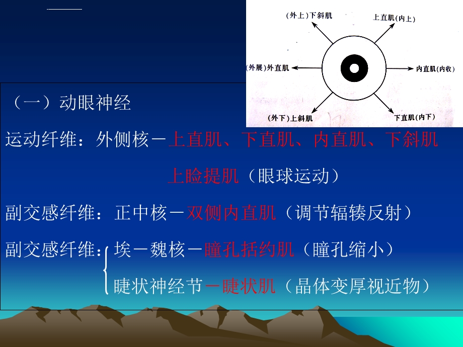 眼球运动及解刨ppt课件.ppt_第3页