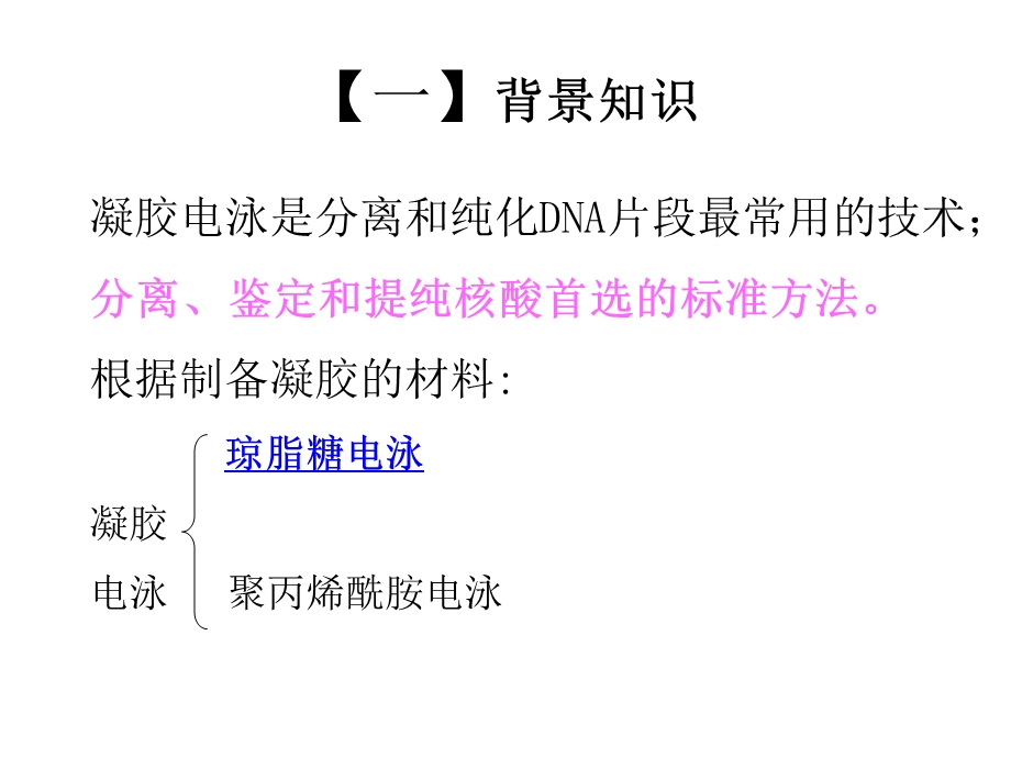 琼脂糖凝胶电泳检测dnappt课件.ppt_第2页