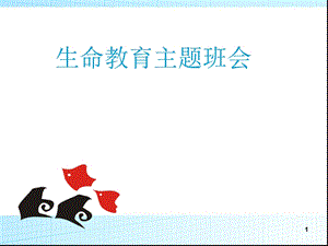 生命教育主题班会 ppt课件.ppt