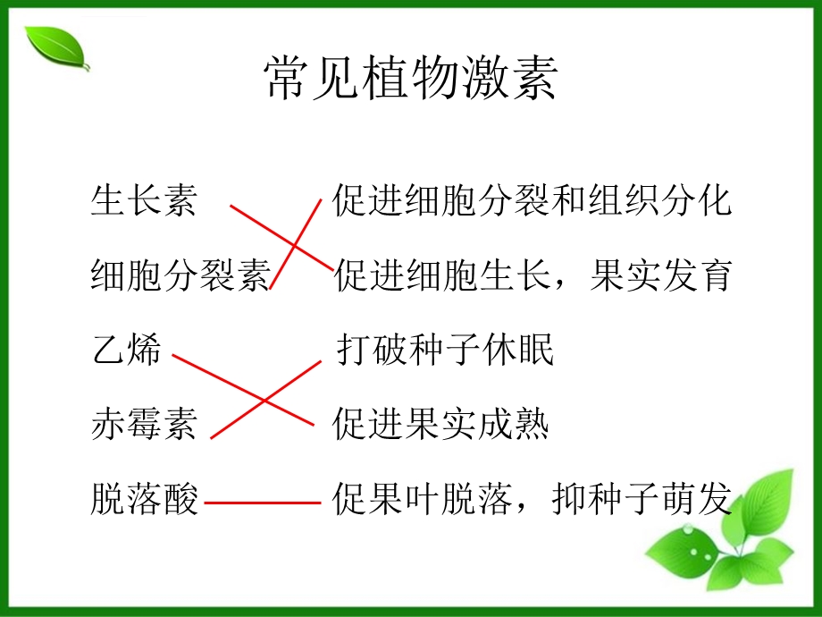 生长素复习PPT课件人教课标版.ppt_第2页