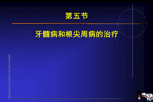 牙髓病和根尖周病的治疗ppt课件.ppt