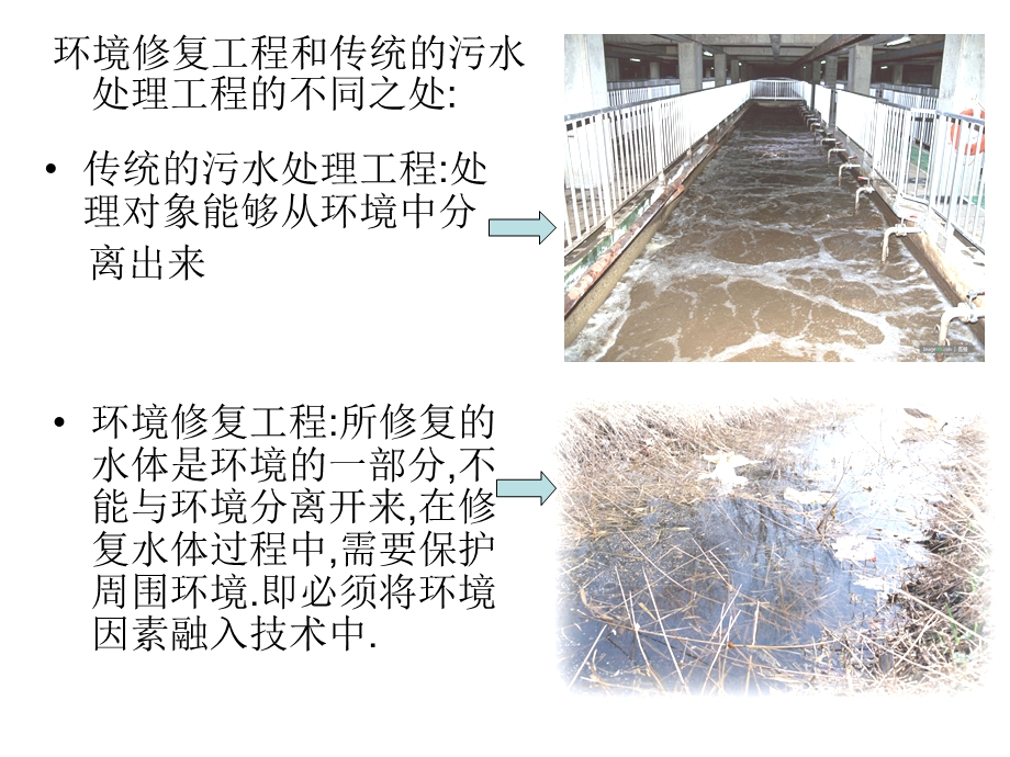 水体修复技术ppt课件.ppt_第2页