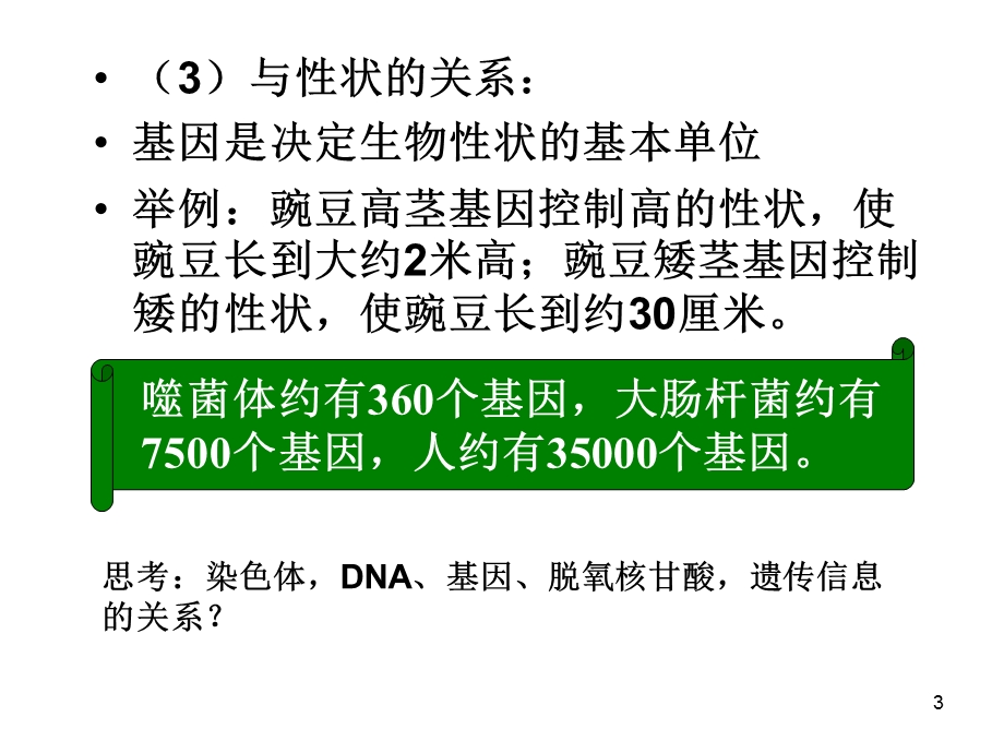 生物：4.1《基因指导蛋白质的合成》(新人教版必修2)ppt课件.ppt_第3页