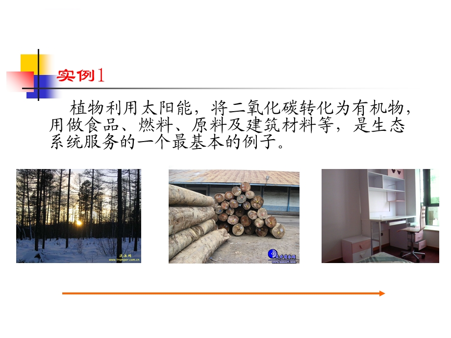 生态系统服务ppt课件.ppt_第3页