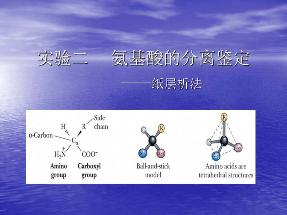 氨基酸的分离鉴定ppt课件.ppt_第1页