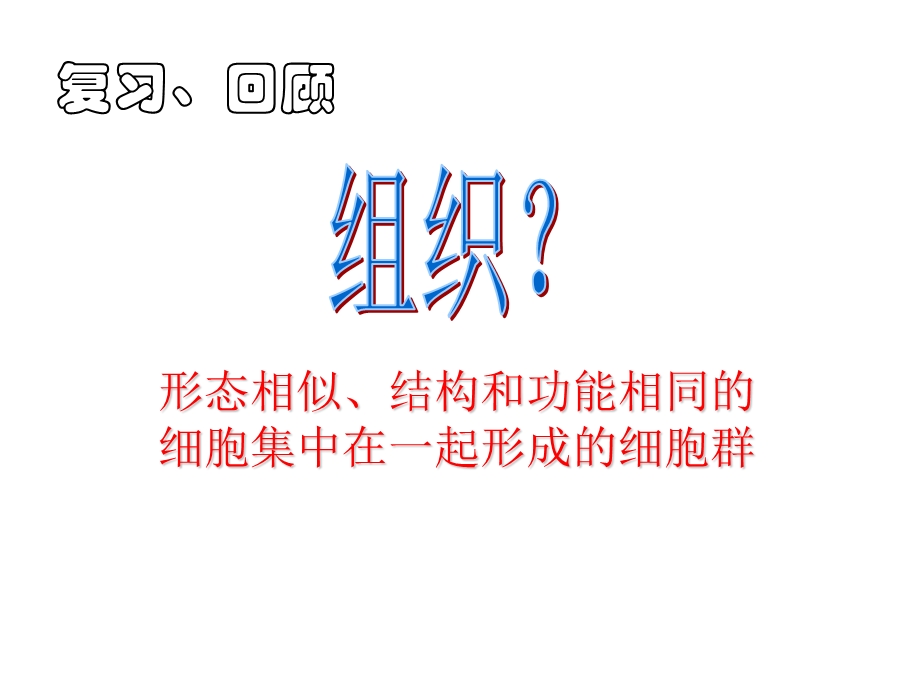 生物体的结构层次（器官系统）ppt课件.ppt_第2页