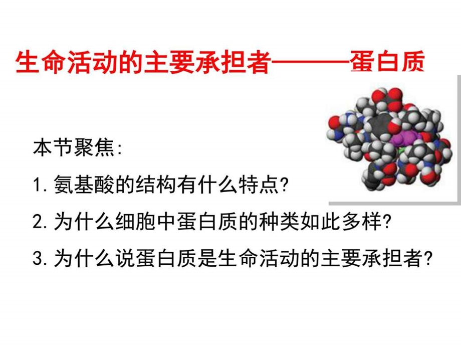 生命活动的主要承担者蛋白质（公开课）图文ppt课件.ppt_第1页