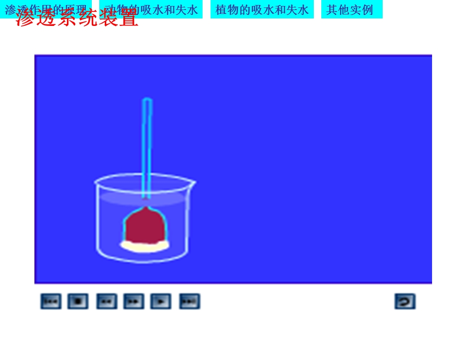 物质跨膜运输的实例优质课 (凤)ppt课件.ppt_第2页