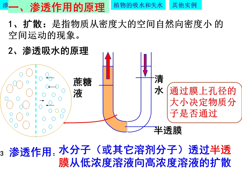 物质跨膜运输的实例优质课 (凤)ppt课件.ppt_第3页