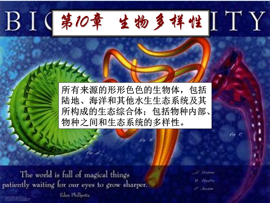 生物多样性及其价值ppt课件.ppt_第1页