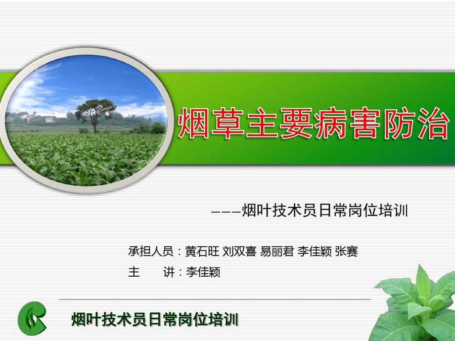 烟草主要病害防治课件.ppt_第2页